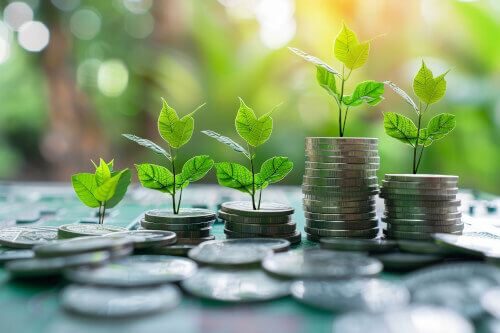 Finance verte : Goodvest intègre l'impact sur la biodiversité