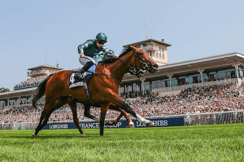 Investir dans les chevaux : du rêve aux grandes courses