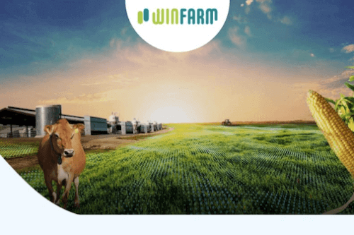 Winfarm: Significant Improvement by 2025, Yet Profitability Remains to be Rebuilt
