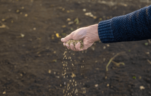 VOLTZ : les actionnaires approuvent toutes les résolutions à plus de 98 %