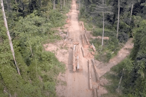 Rougier enregistre un recul de 20,5 % de son chiffre d'affaires en 2025