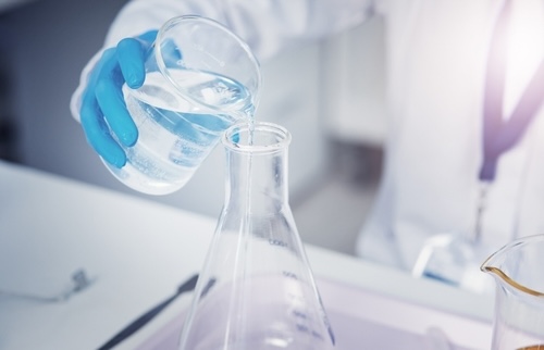 EPC Group Continues Its Rise: +5% for the Stock After 2025 Results