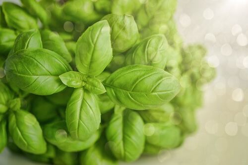Amoéba Secures Emergency Authorization in Italy for its Biofungicide Axpera