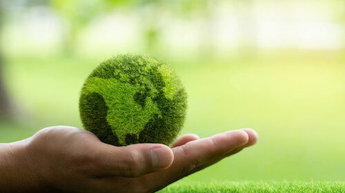 L'Alliance pour la durabilité mondiale : quand quatre universités d'élite décidèrent de collaborer pour la planète