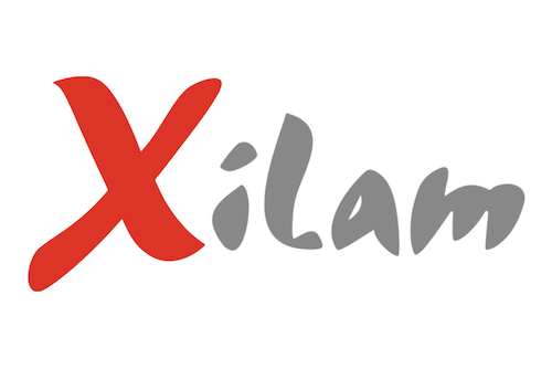 Xilam mise sur une hausse de 80% de son chiffre d'affaires en 2021