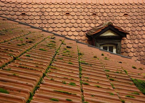 Votre toiture est-elle prête pour affronter l'hiver ?
