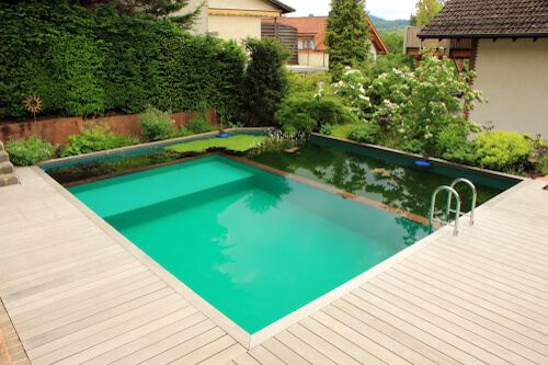 Natural swimming pool: price, installation, problems